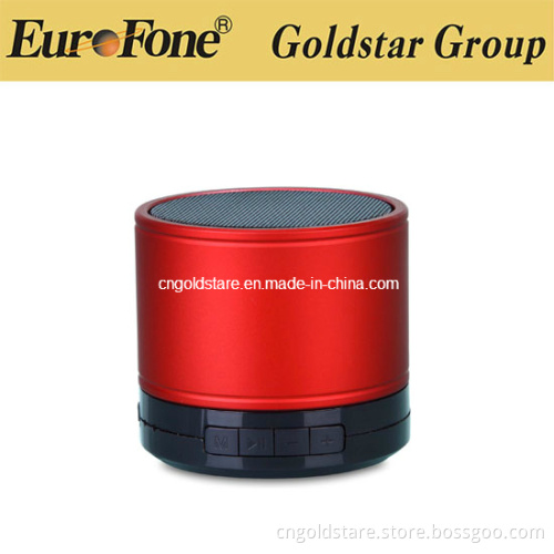 Bluetooth Mini Speaker, Wireless Speaker Bluetootn (GD-086BT)
